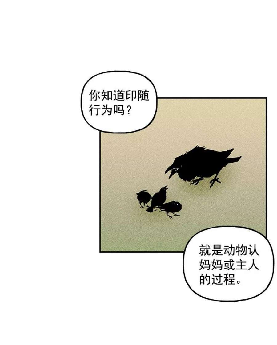 大魔法师的女儿16.小时候的期盼