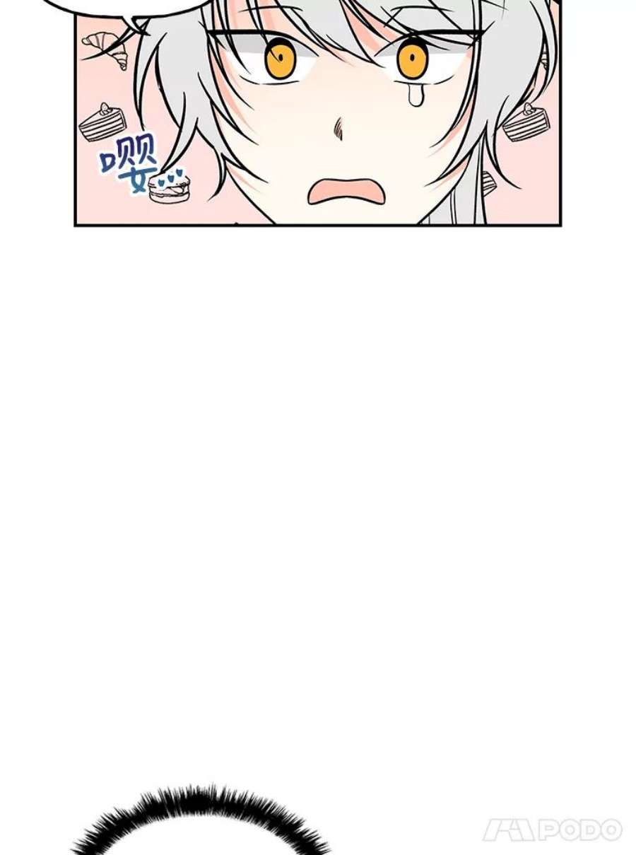 大魔法师的女儿18.意外走失