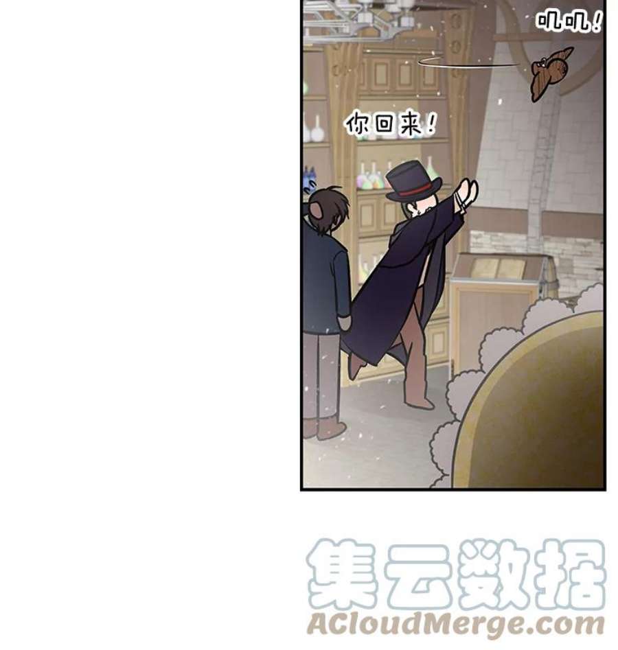大魔法师的女儿18.意外走失