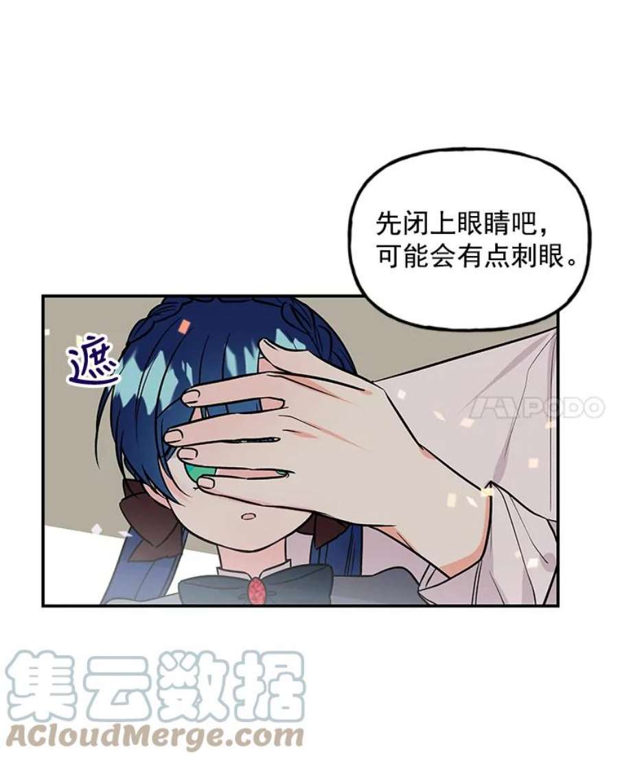 大魔法师的女儿20.传令鸟