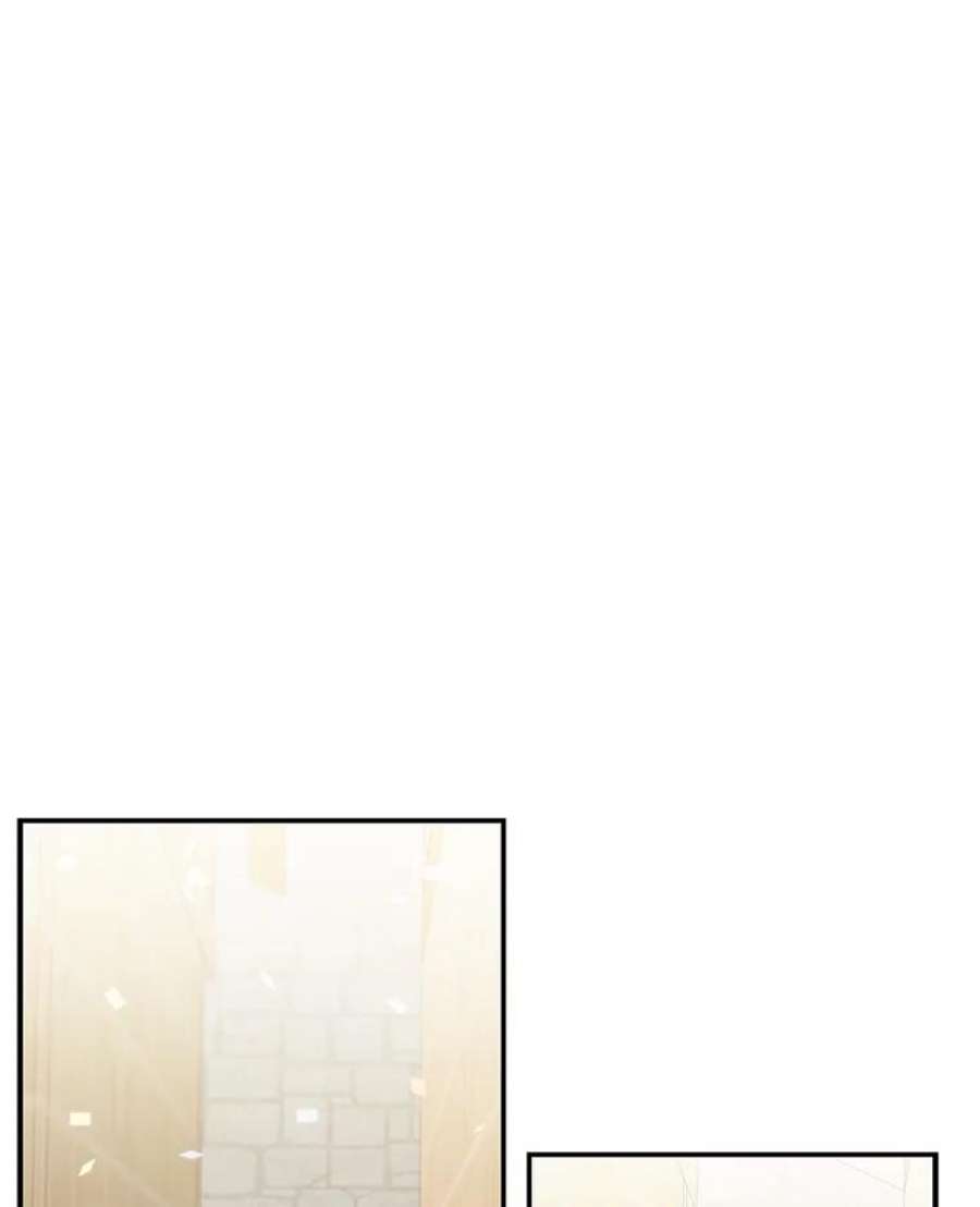 大魔法师的女儿20.传令鸟