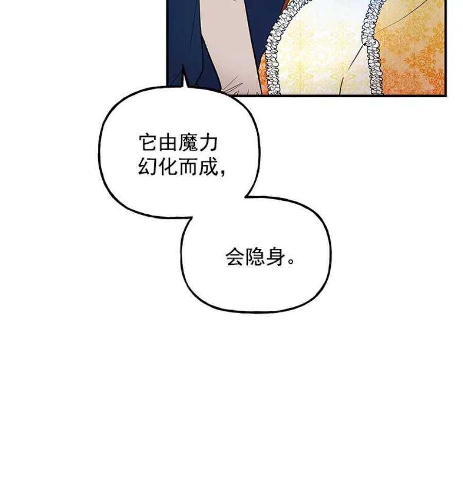 大魔法师的女儿20.传令鸟