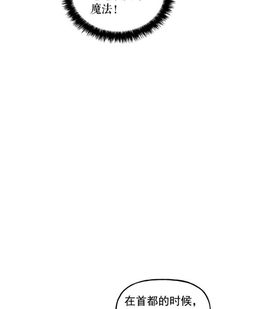 大魔法师的女儿20.传令鸟