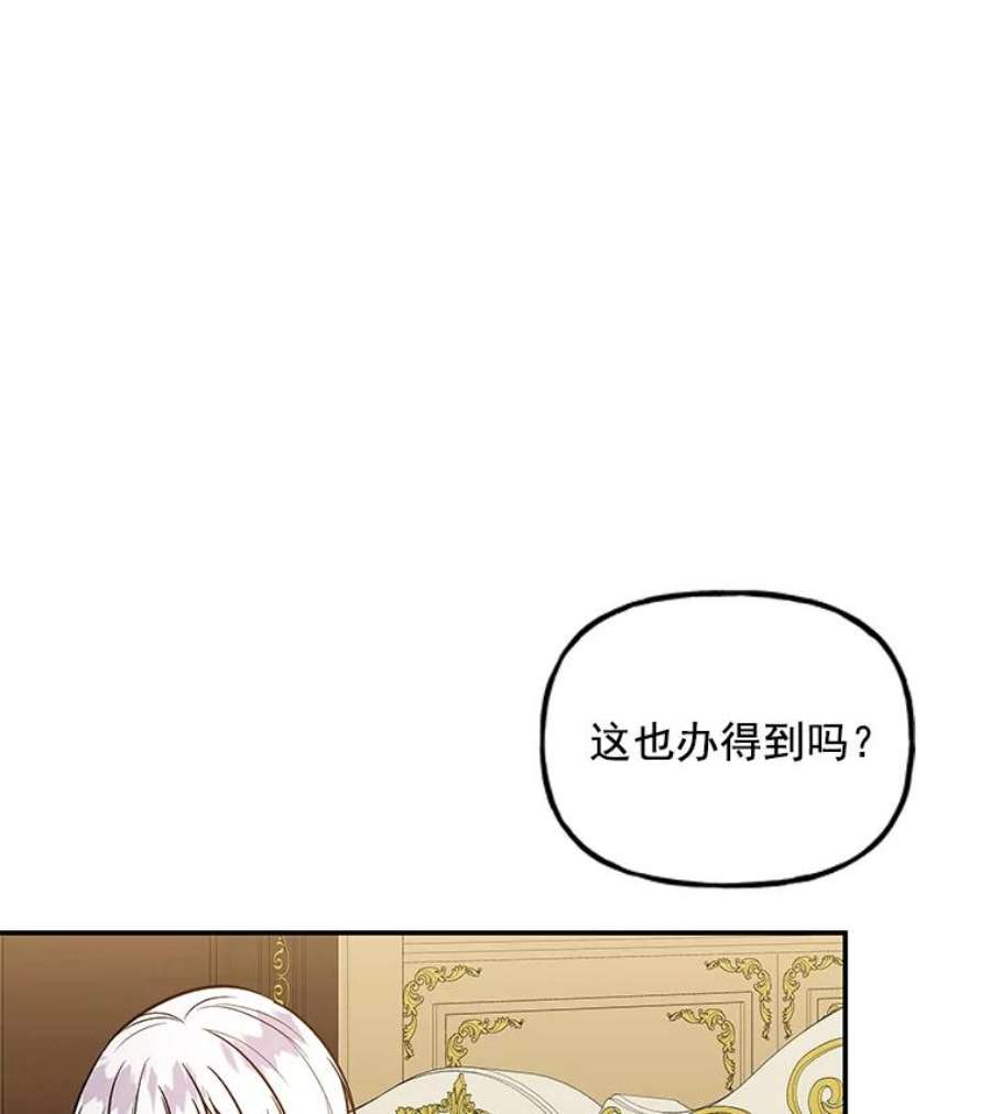 大魔法师的女儿20.传令鸟