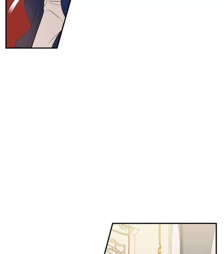 大魔法师的女儿20.传令鸟