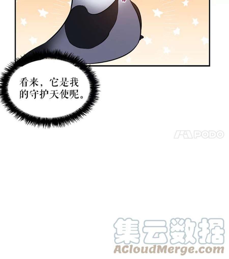 大魔法师的女儿20.传令鸟