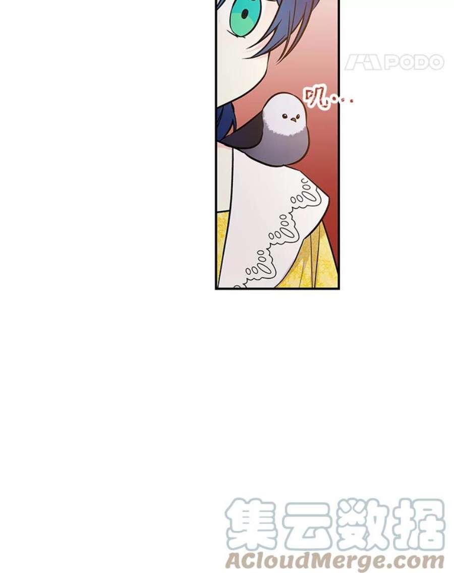 大魔法师的女儿20.传令鸟