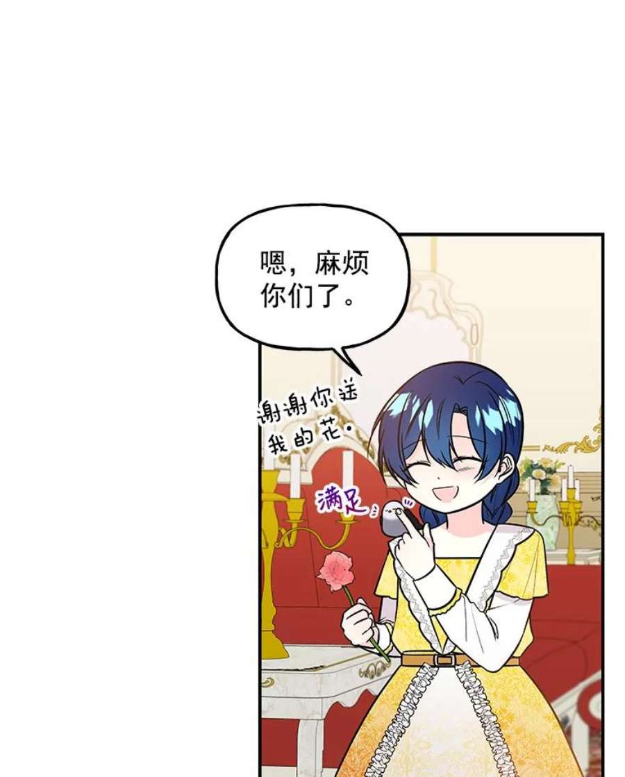 大魔法师的女儿20.传令鸟
