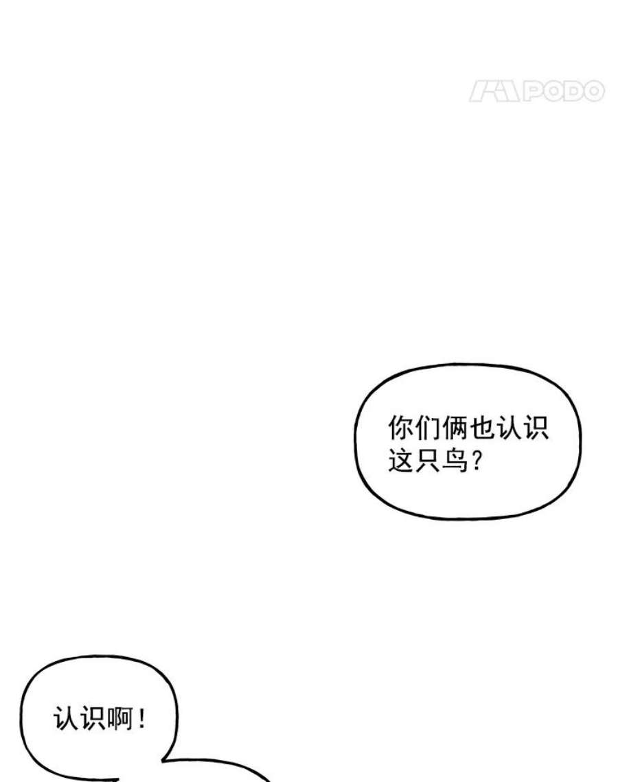 大魔法师的女儿20.传令鸟