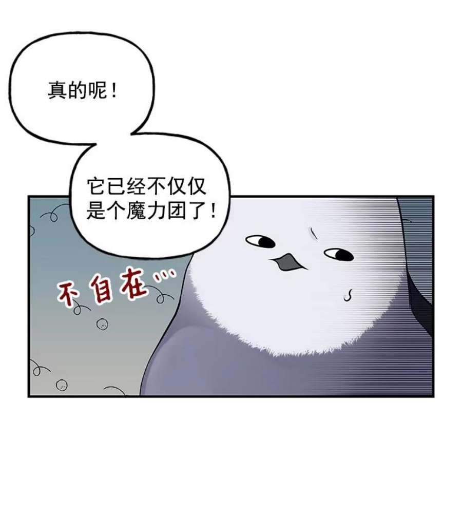 大魔法师的女儿20.传令鸟