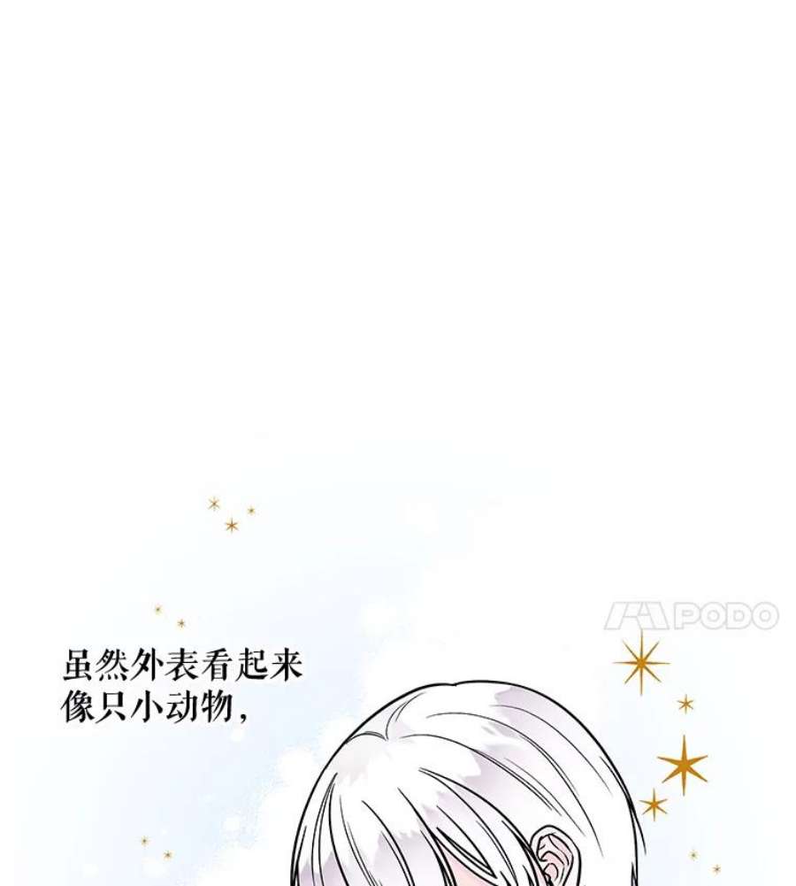 大魔法师的女儿20.传令鸟