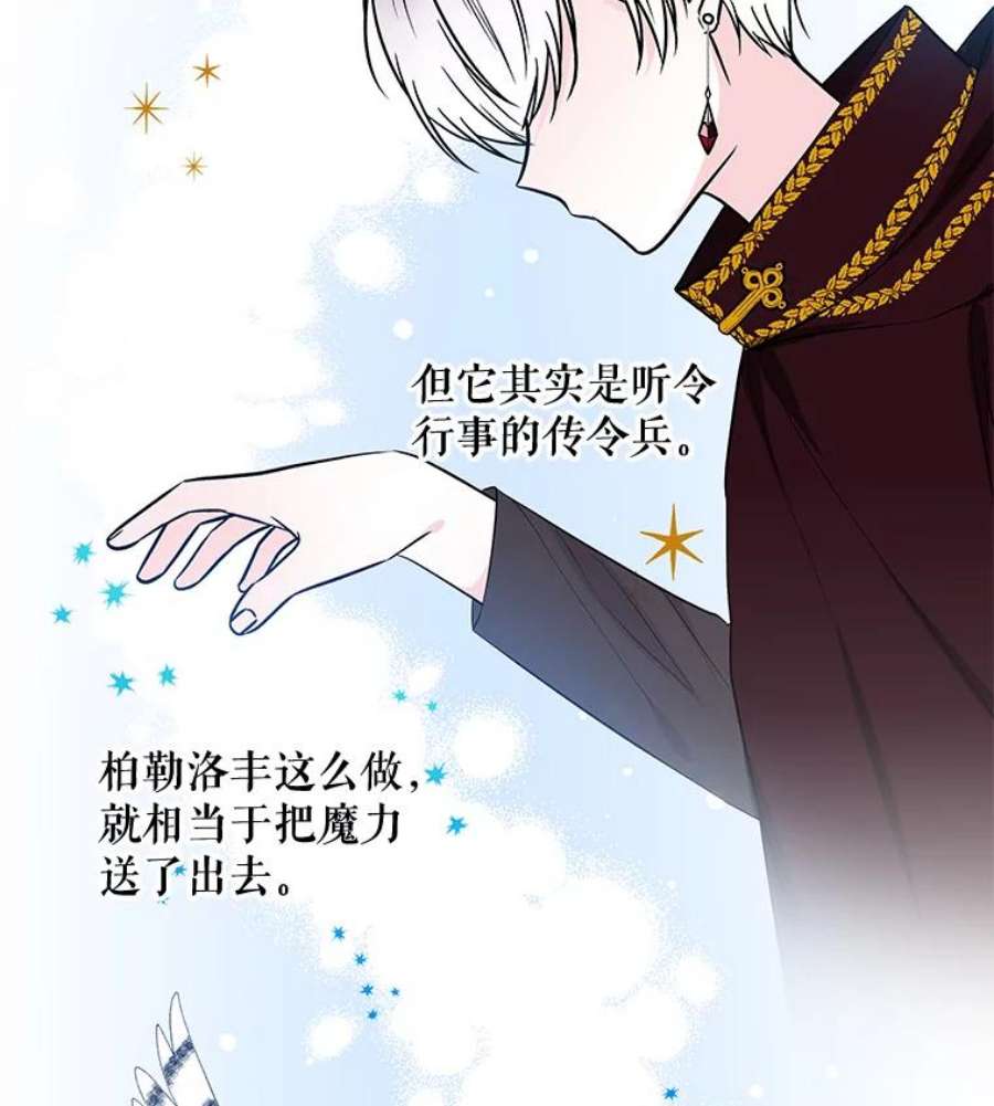 大魔法师的女儿20.传令鸟