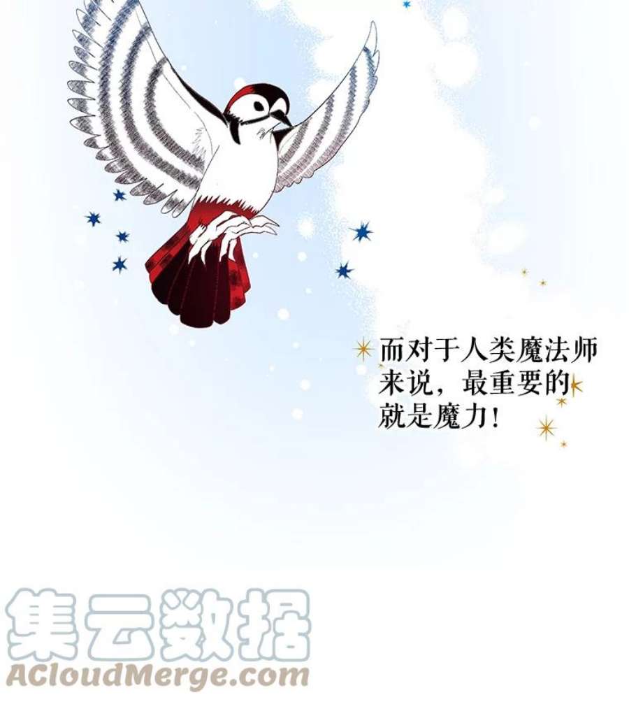 大魔法师的女儿20.传令鸟