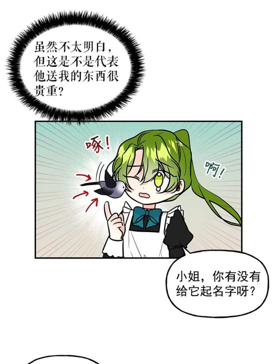 大魔法师的女儿20.传令鸟