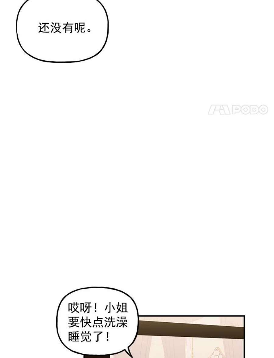 大魔法师的女儿20.传令鸟
