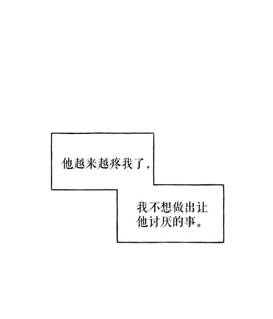 大魔法师的女儿20.传令鸟