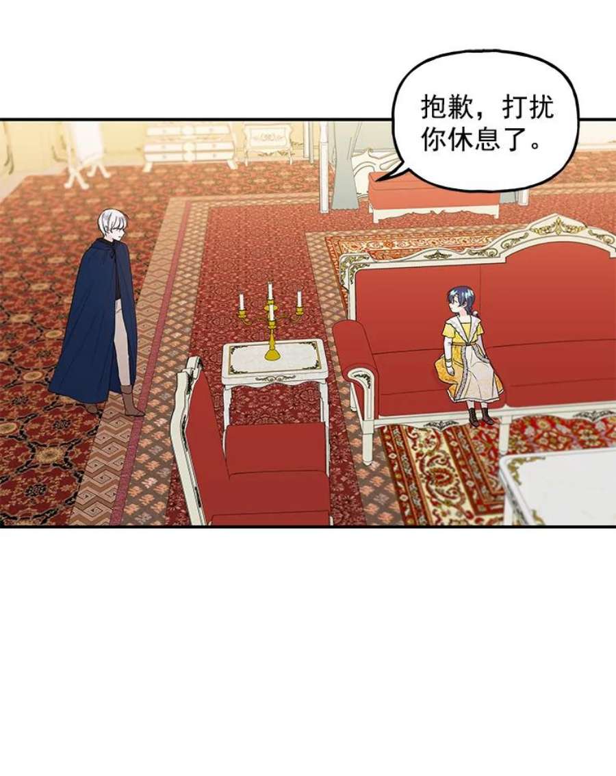 大魔法师的女儿20.传令鸟