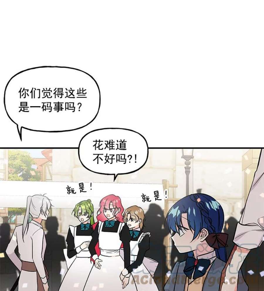 大魔法师的女儿20.传令鸟