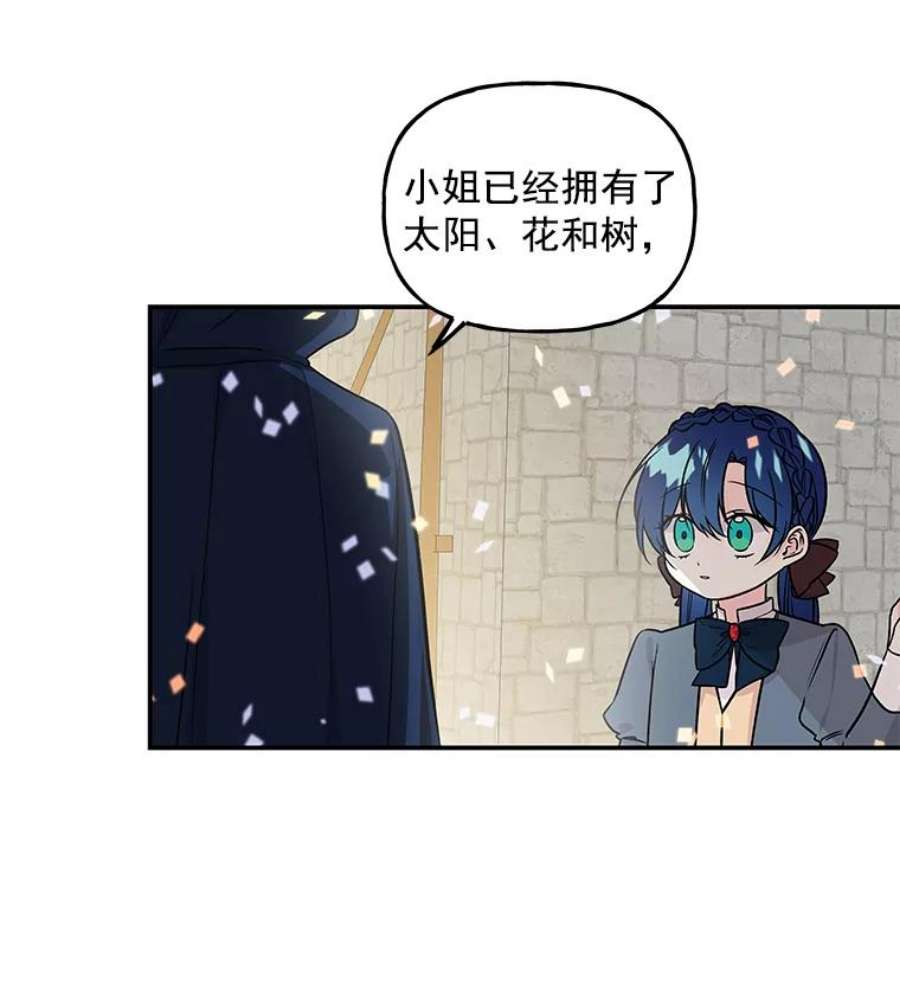 大魔法师的女儿20.传令鸟