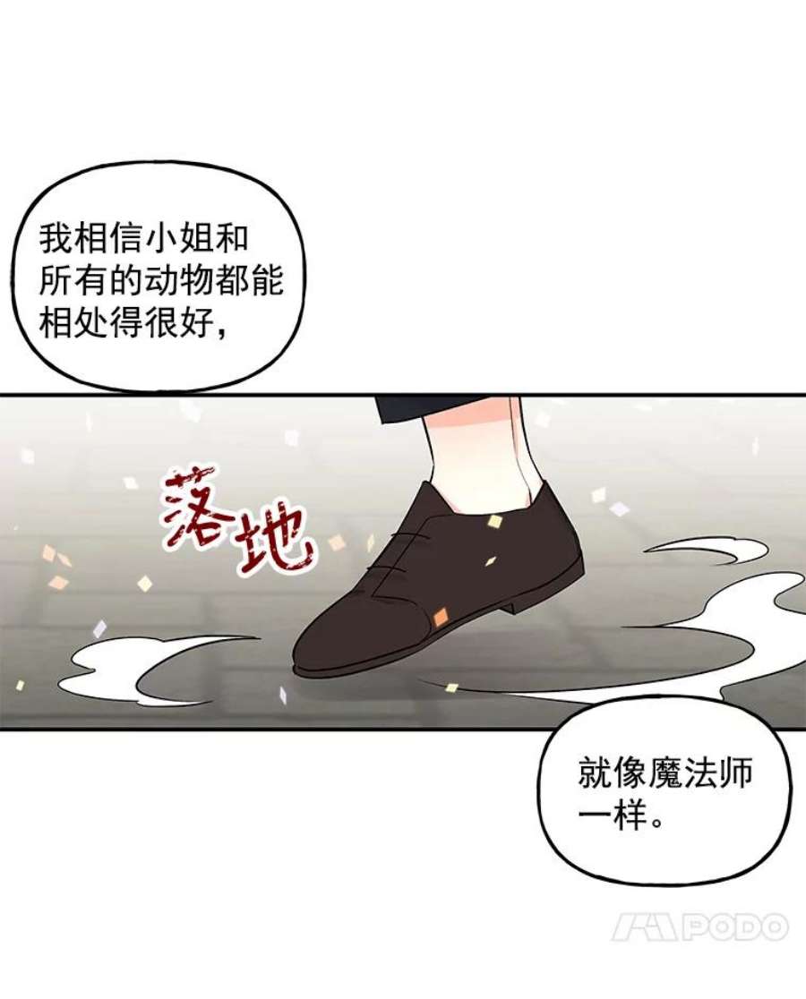大魔法师的女儿21.新奇景象
