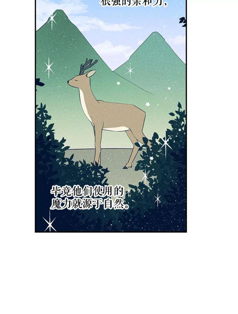 大魔法师的女儿21.新奇景象