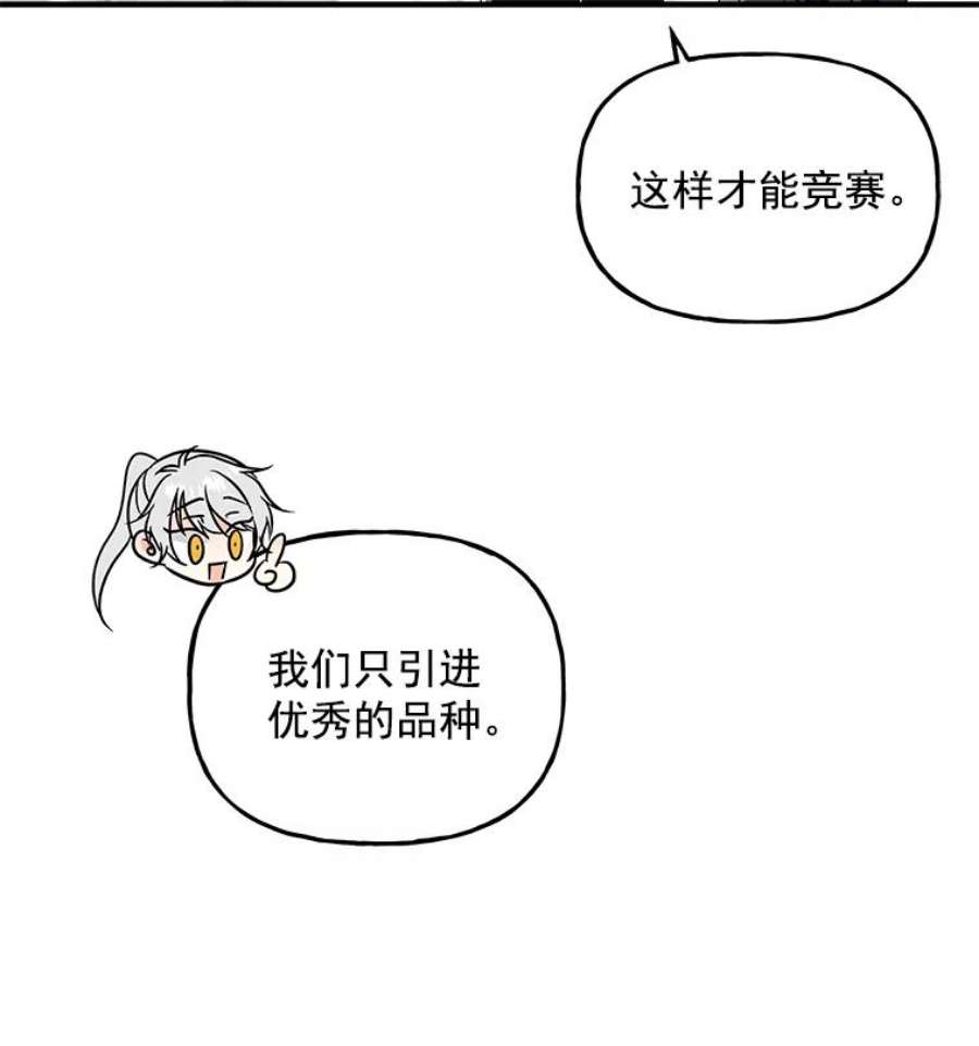 大魔法师的女儿21.新奇景象