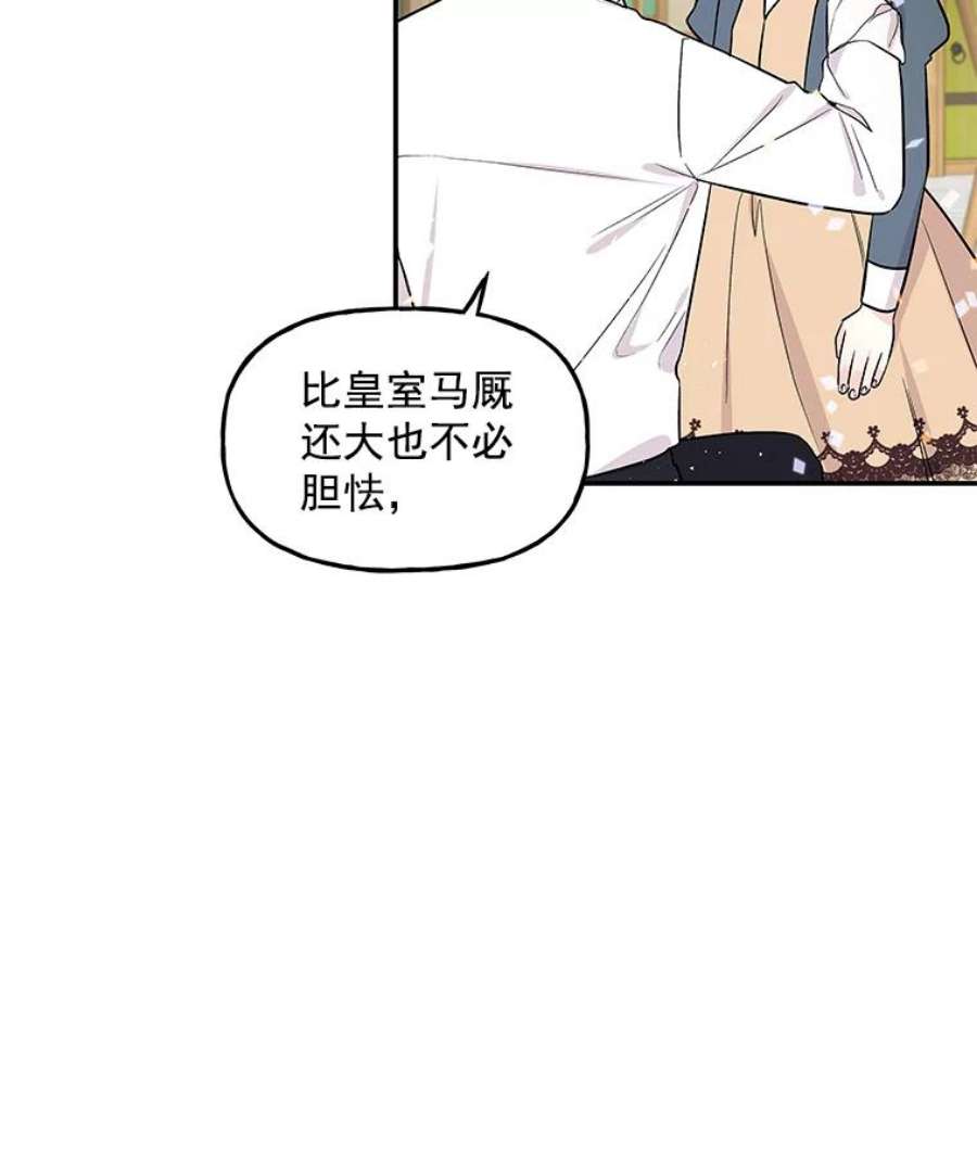 大魔法师的女儿21.新奇景象