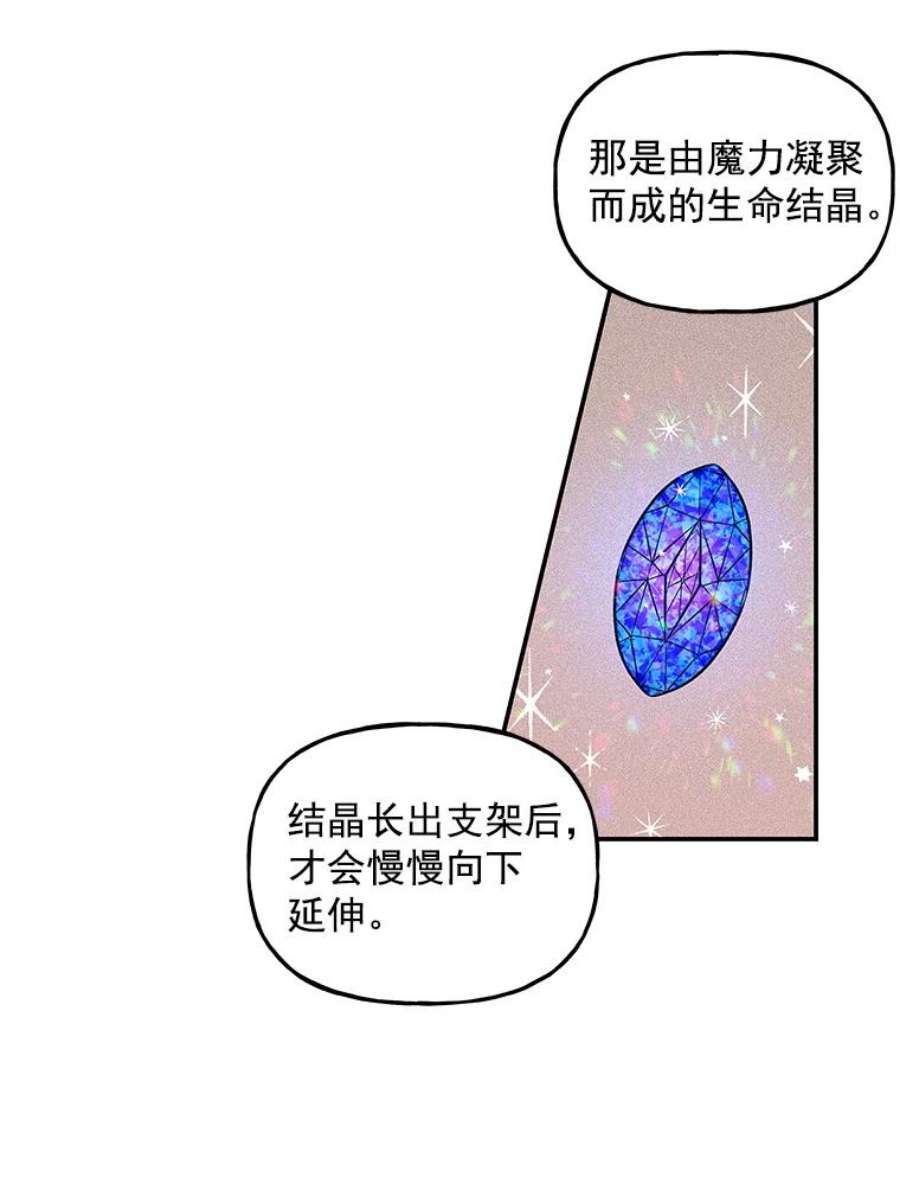 大魔法师的女儿22.魔晶石