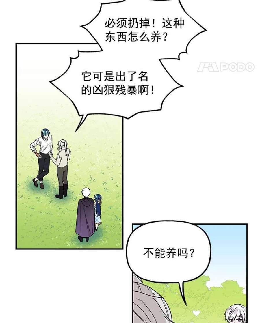 大魔法师的女儿35.拉索尔