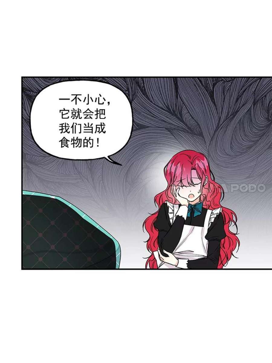 大魔法师的女儿35.拉索尔