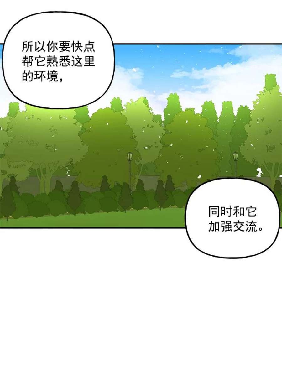 大魔法师的女儿35.拉索尔
