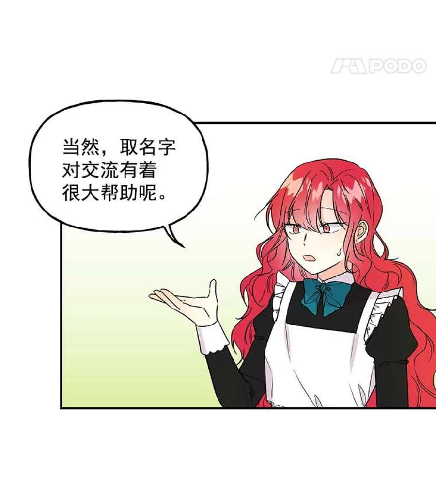 大魔法师的女儿35.拉索尔