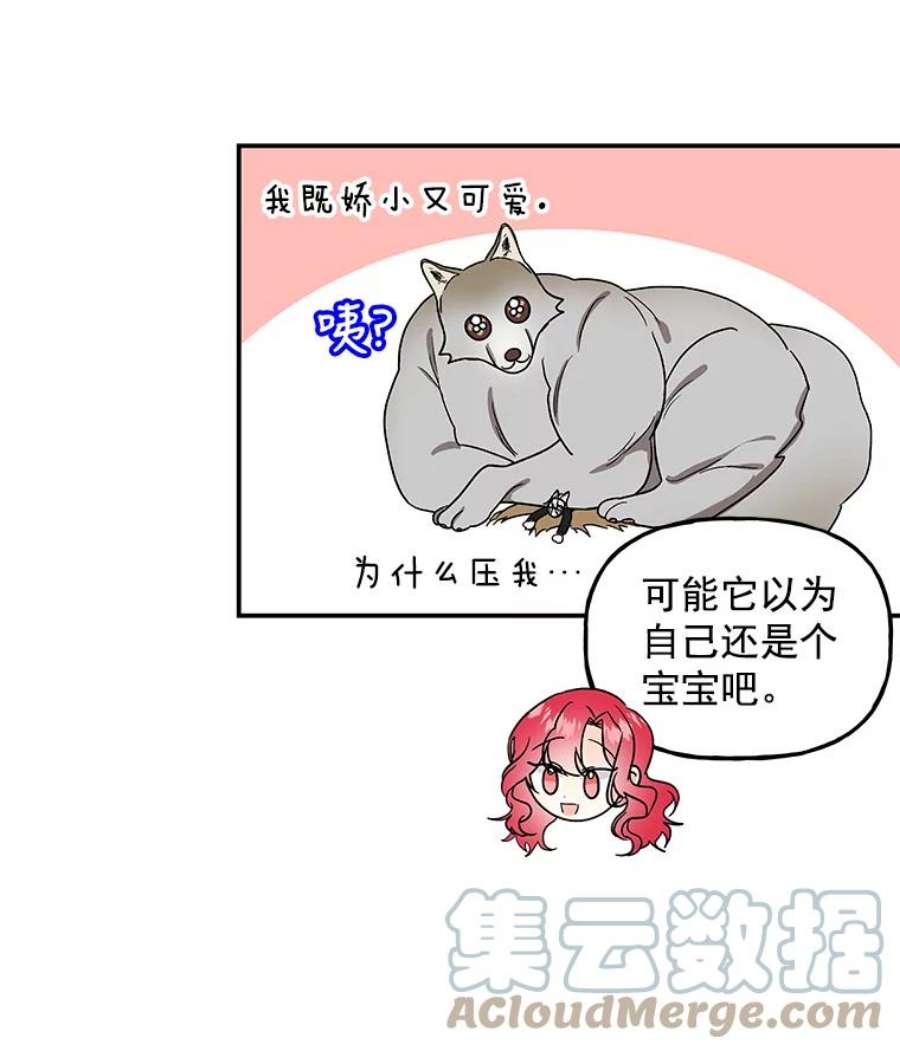 大魔法师的女儿35.拉索尔