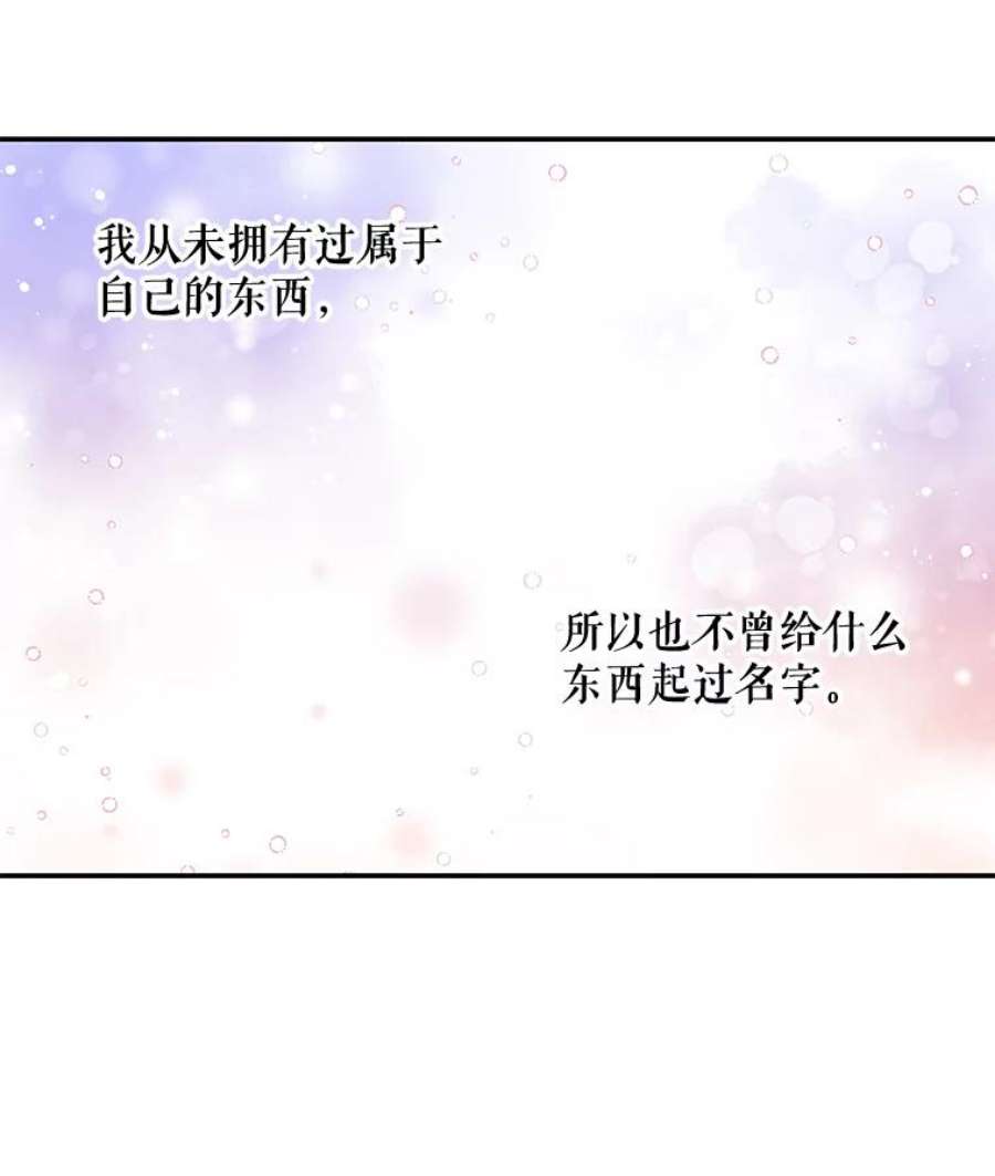 大魔法师的女儿35.拉索尔