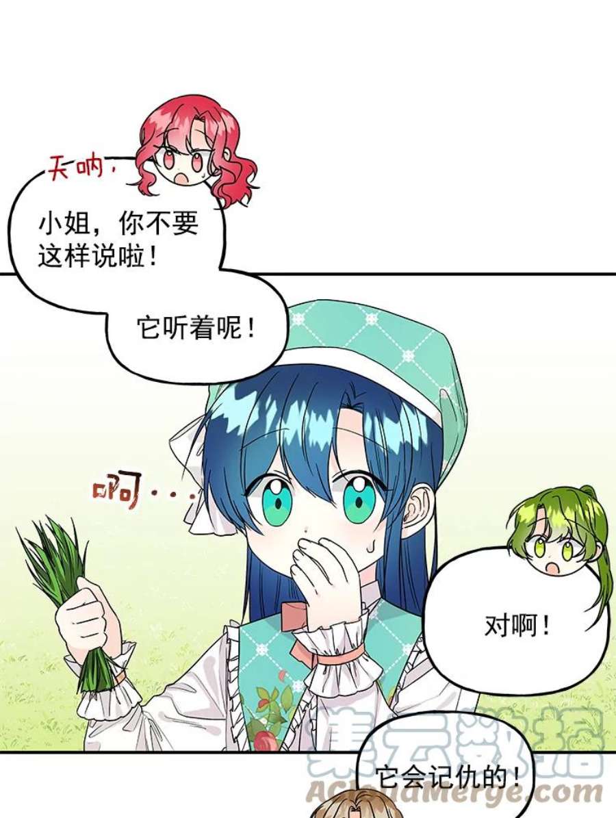 大魔法师的女儿35.拉索尔