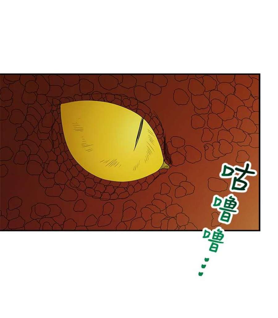 大魔法师的女儿35.拉索尔