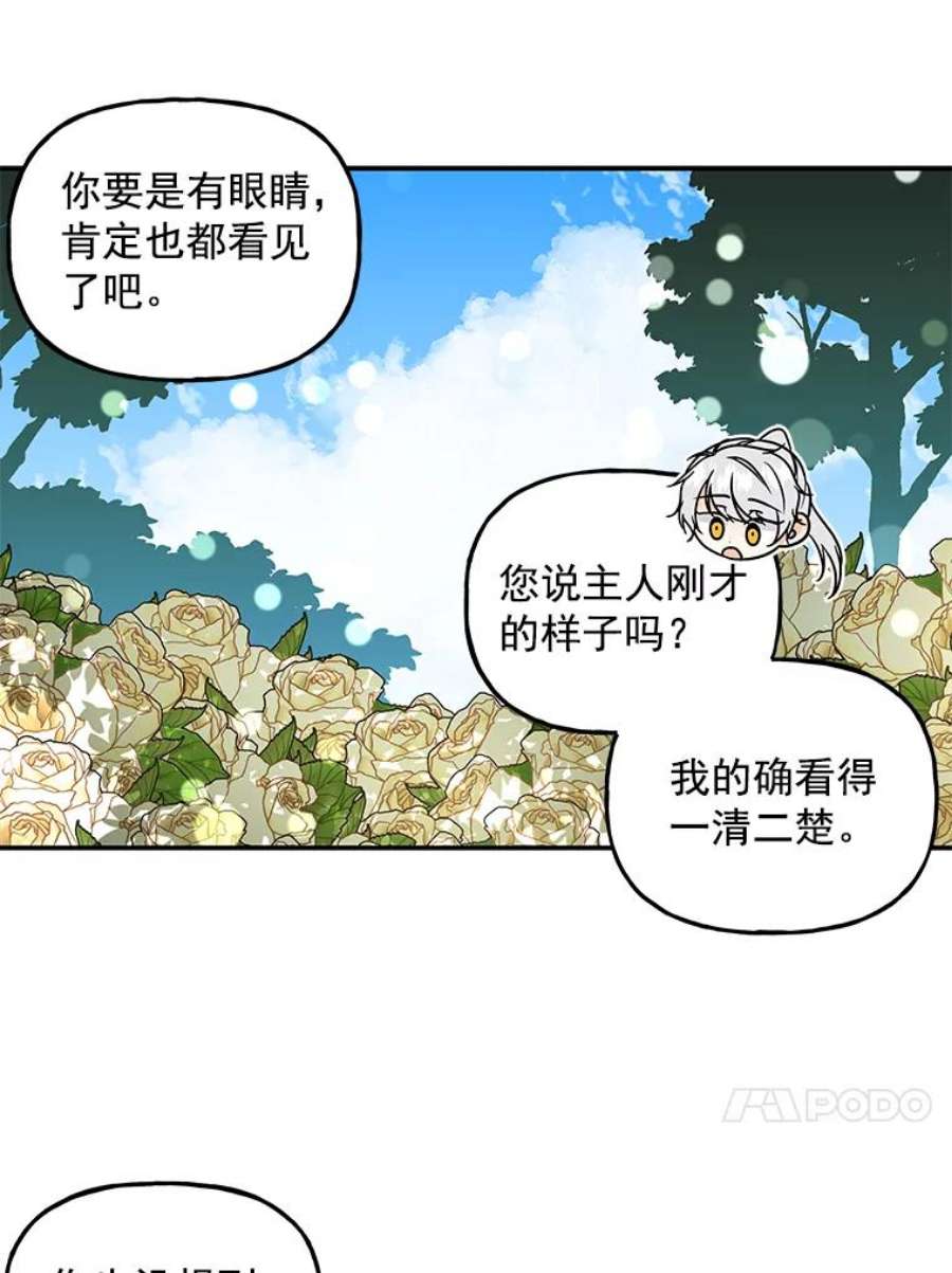 大魔法师的女儿40.烟花秀