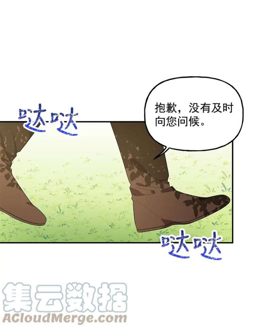 大魔法师的女儿40.烟花秀