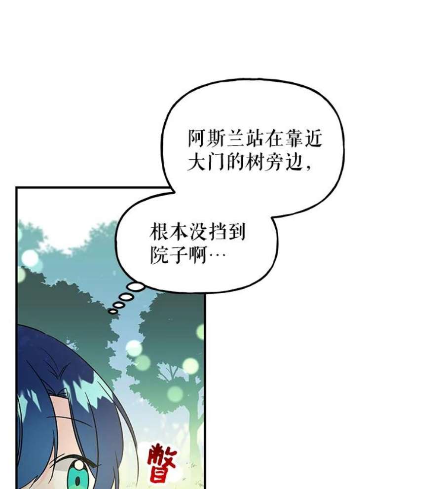 大魔法师的女儿40.烟花秀