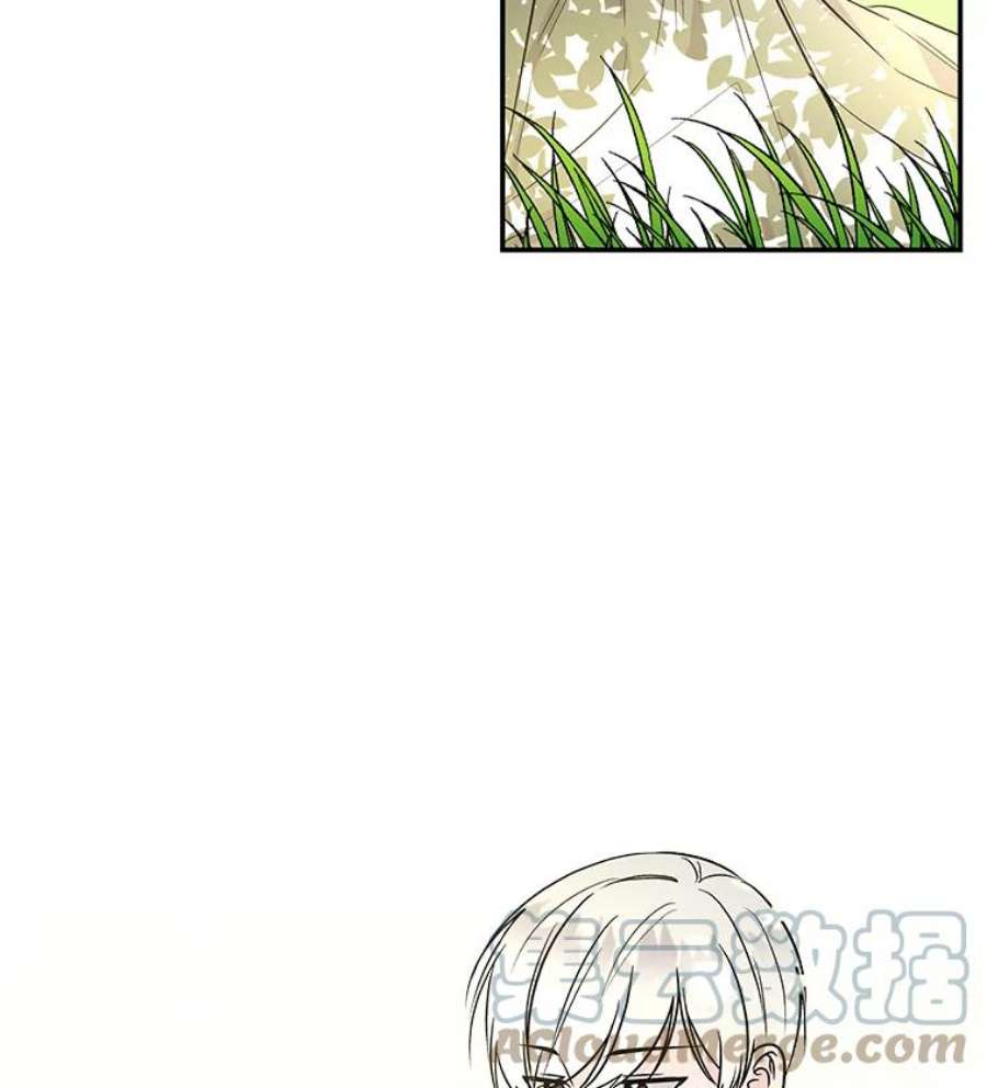 大魔法师的女儿40.烟花秀