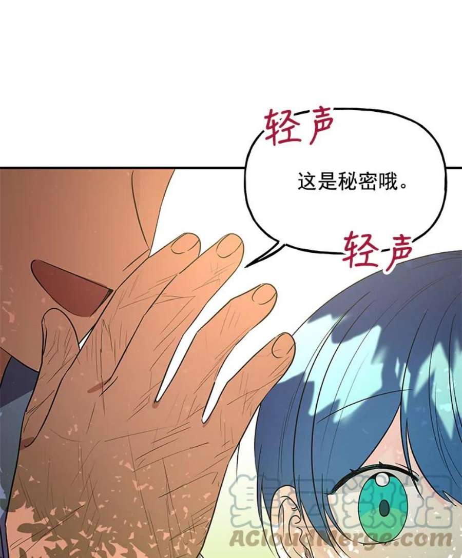 大魔法师的女儿40.烟花秀