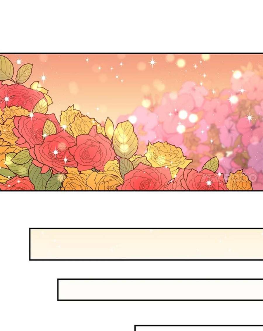 大魔法师的女儿44.流浪商人