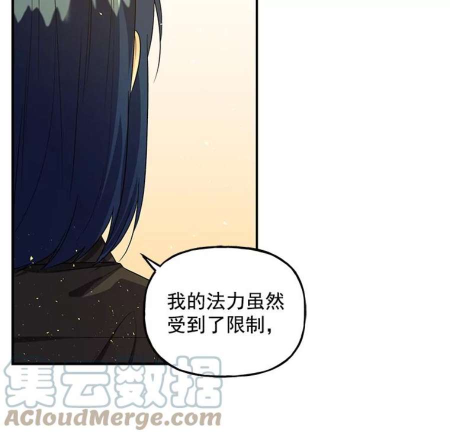 大魔法师的女儿44.流浪商人