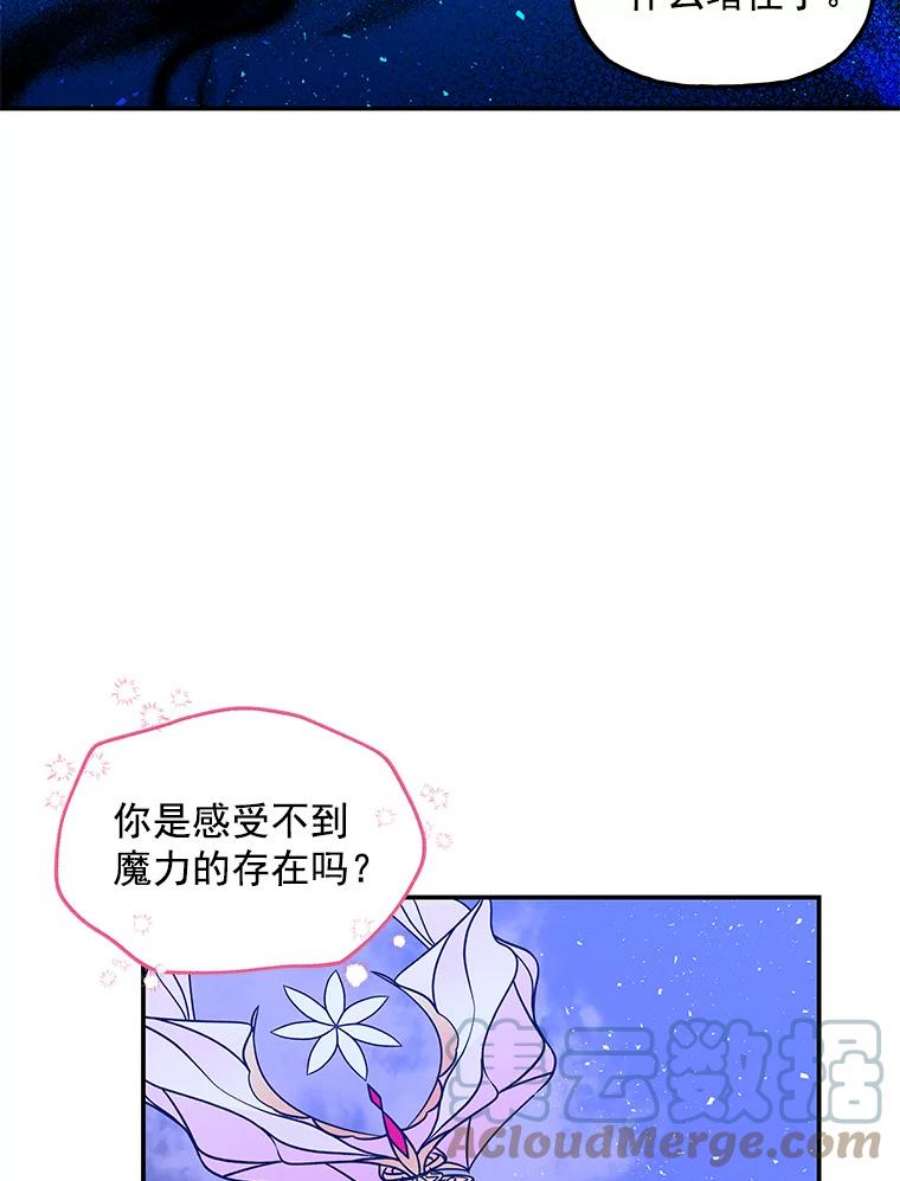 大魔法师的女儿47.神秘人