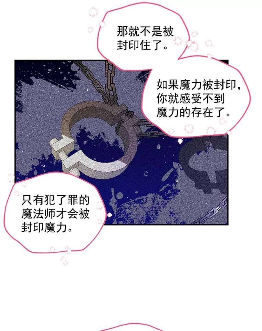 大魔法师的女儿47.神秘人