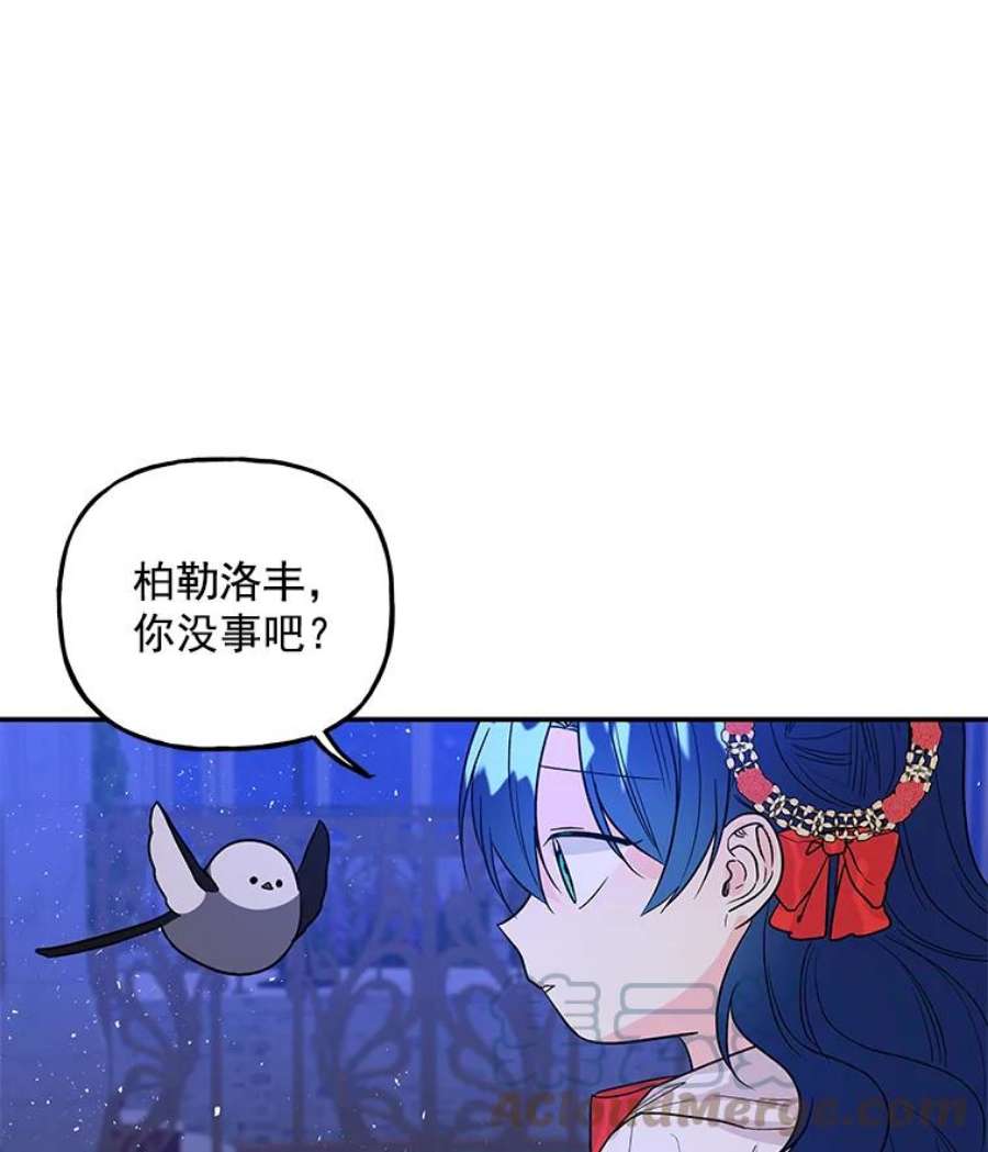 大魔法师的女儿47.神秘人