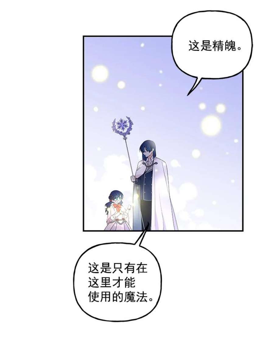 大魔法师的女儿54.精魄魔法