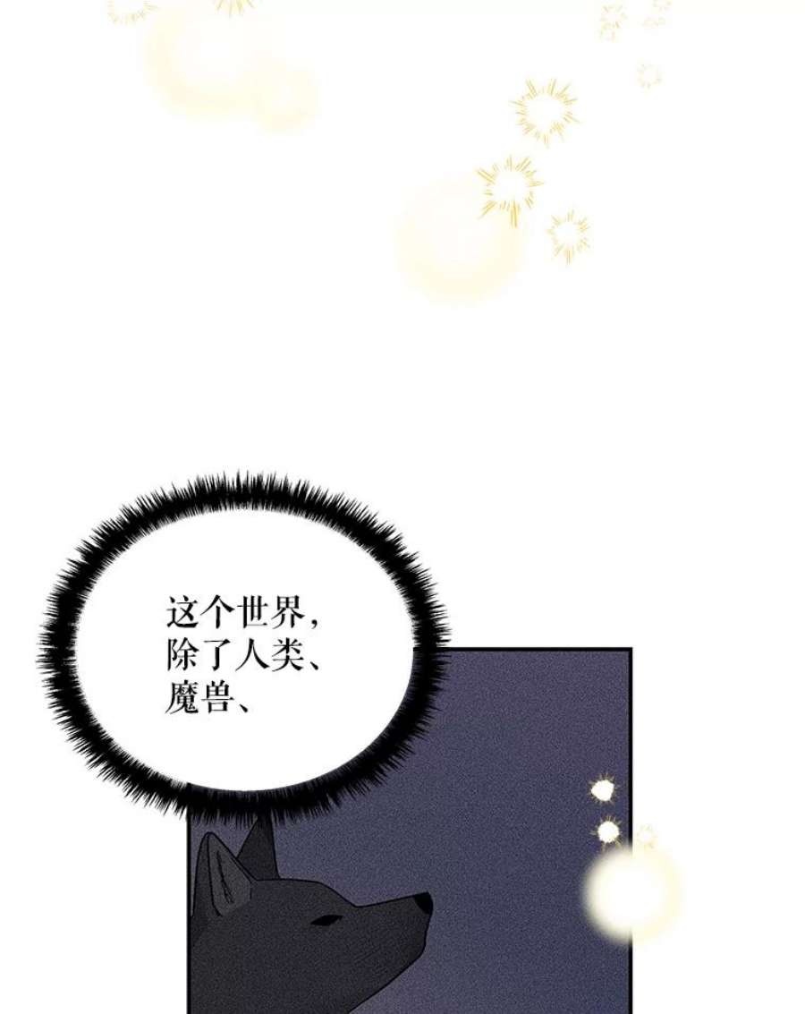 大魔法师的女儿54.精魄魔法