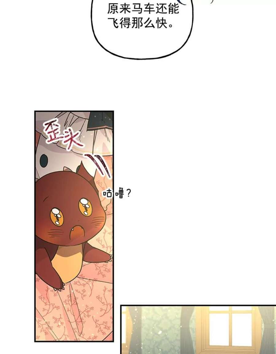 大魔法师的女儿55.生日