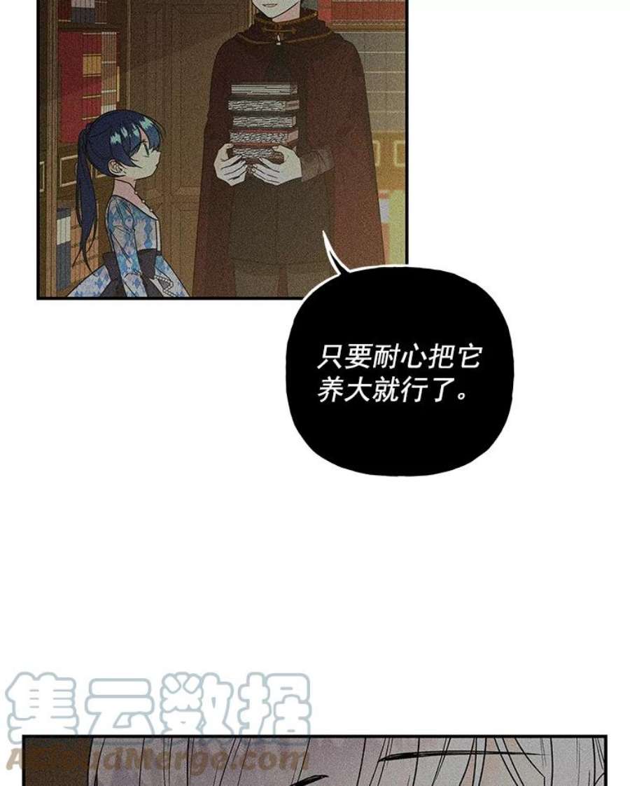 大魔法师的女儿55.生日
